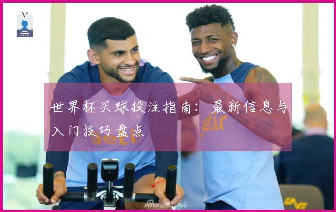 世界杯买球投注指南：最新信息与入门技巧盘点