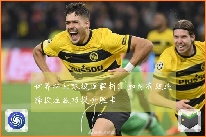 世界杯让球投注解析：如何有效选择投注技巧提升胜率