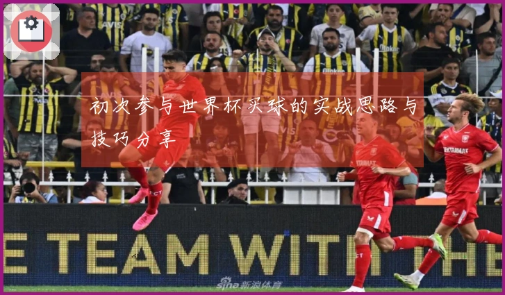 初次参与世界杯买球的实战思路与技巧分享