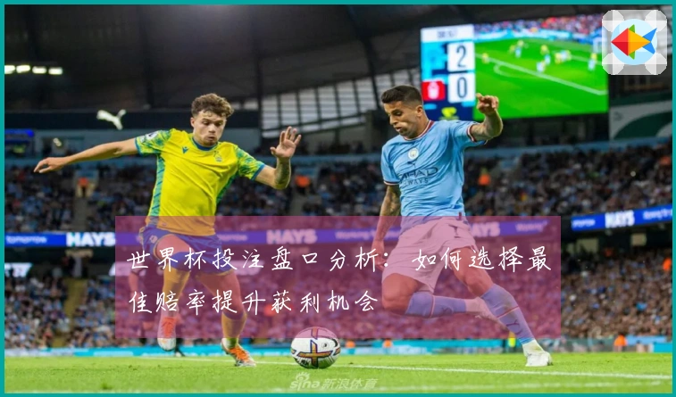 世界杯投注盘口分析：如何选择最佳赔率提升获利机会