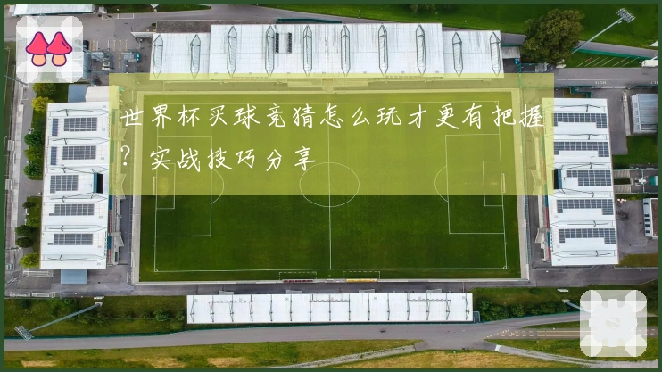 世界杯买球竞猜怎么玩才更有把握？实战技巧分享