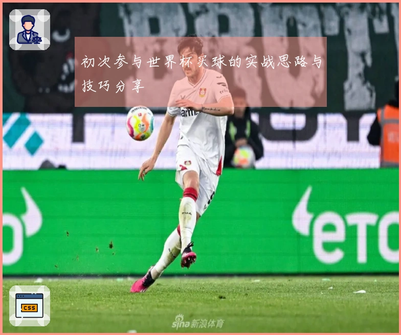 初次参与世界杯买球的实战思路与技巧分享