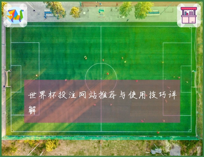 世界杯投注网站推荐与使用技巧详解