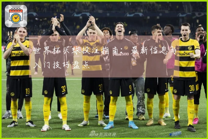 世界杯买球投注指南：最新信息与入门技巧盘点